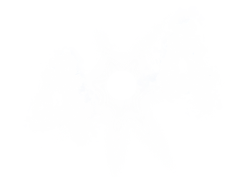 404